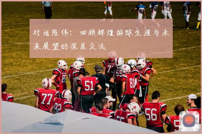 对话陈伟：回顾辉煌排球生涯与未来展望的深度交流