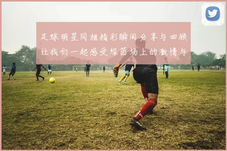 足球明星同框精彩瞬间分享与回顾让我们一起感受绿茵场上的激情与荣耀