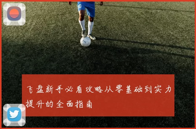 飞盘新手必看攻略从零基础到实力提升的全面指南