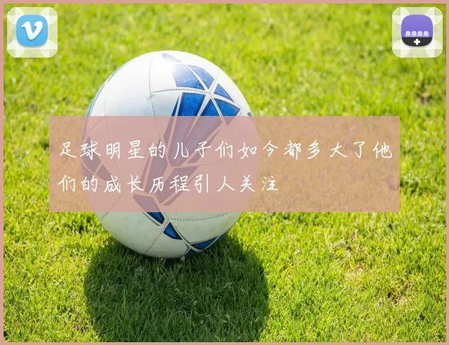 足球明星的儿子们如今都多大了他们的成长历程引人关注