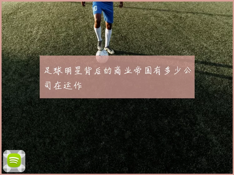 足球明星背后的商业帝国有多少公司在运作