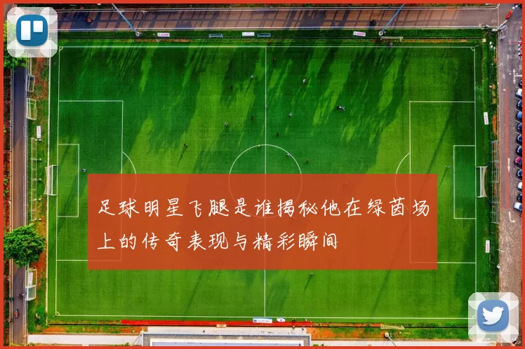 足球明星飞腿是谁揭秘他在绿茵场上的传奇表现与精彩瞬间