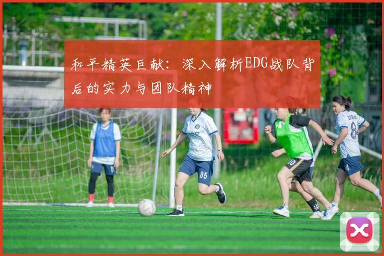 和平精英巨献：深入解析EDG战队背后的实力与团队精神
