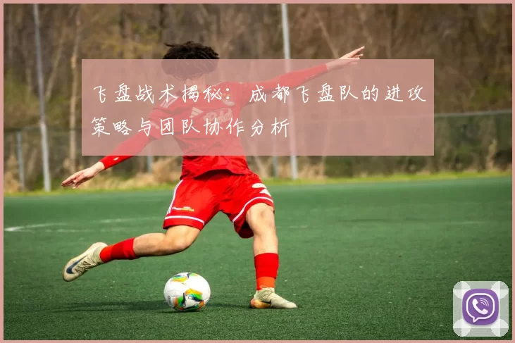 飞盘战术揭秘：成都飞盘队的进攻策略与团队协作分析