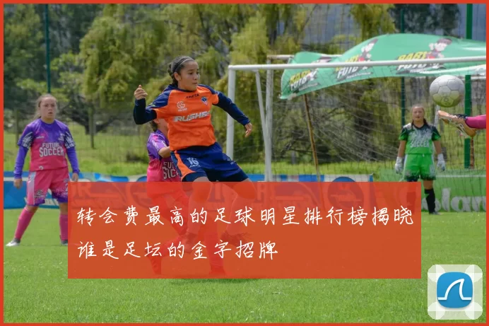 转会费最高的足球明星排行榜揭晓谁是足坛的金字招牌