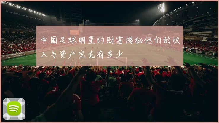 中国足球明星的财富揭秘他们的收入与资产究竟有多少