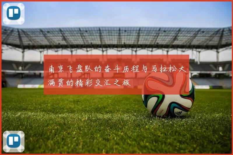 南京飞盘队的奋斗历程与马拉松大满贯的精彩交汇之旅