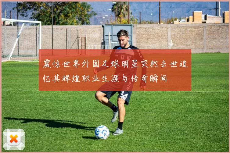 震惊世界外国足球明星突然去世追忆其辉煌职业生涯与传奇瞬间