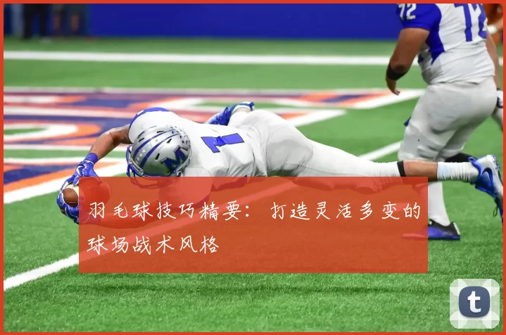 羽毛球技巧精要：打造灵活多变的球场战术风格