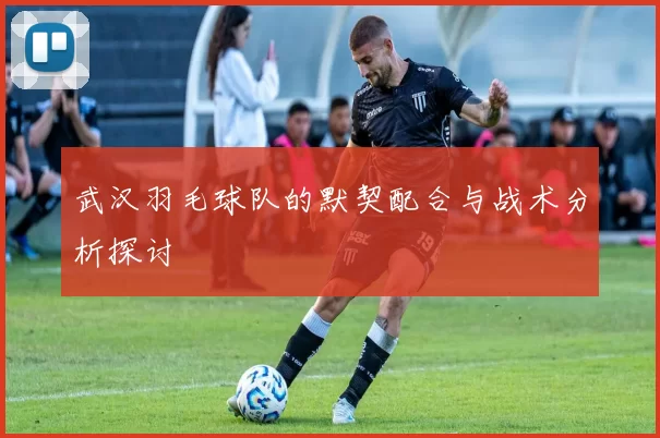 武汉羽毛球队的默契配合与战术分析探讨