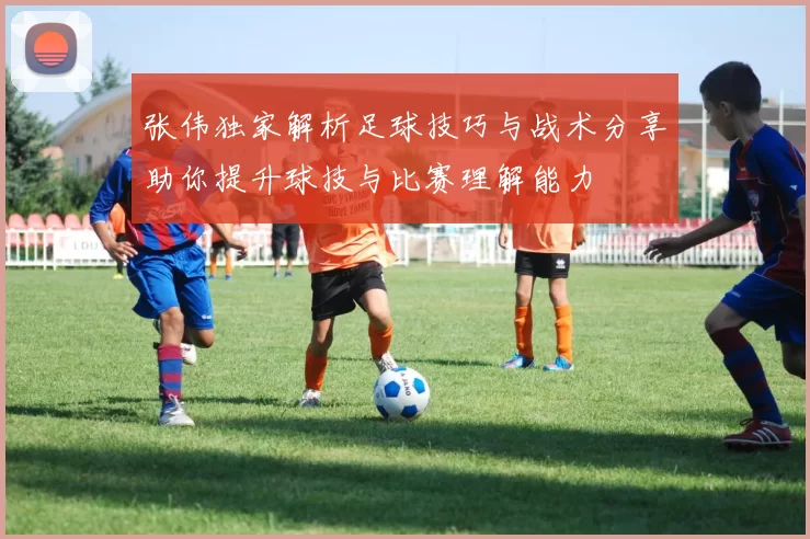 张伟独家解析足球技巧与战术分享助你提升球技与比赛理解能力