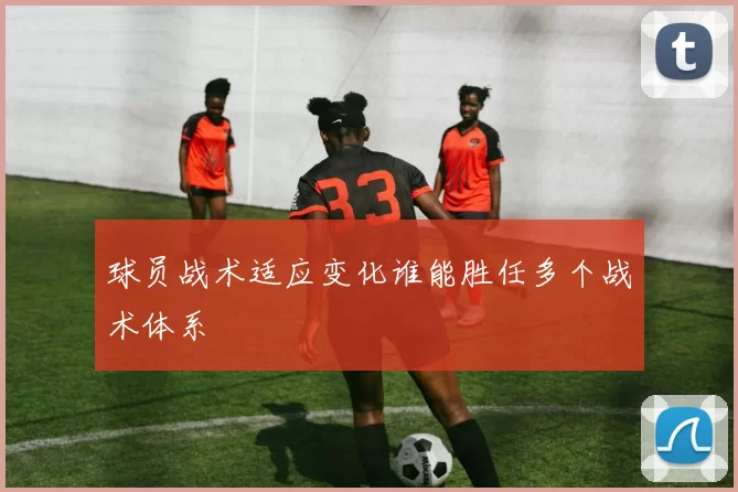 球员战术适应变化谁能胜任多个战术体系