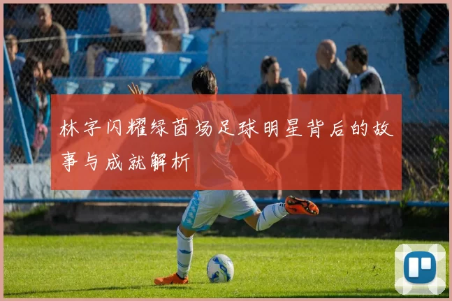 林字闪耀绿茵场足球明星背后的故事与成就解析