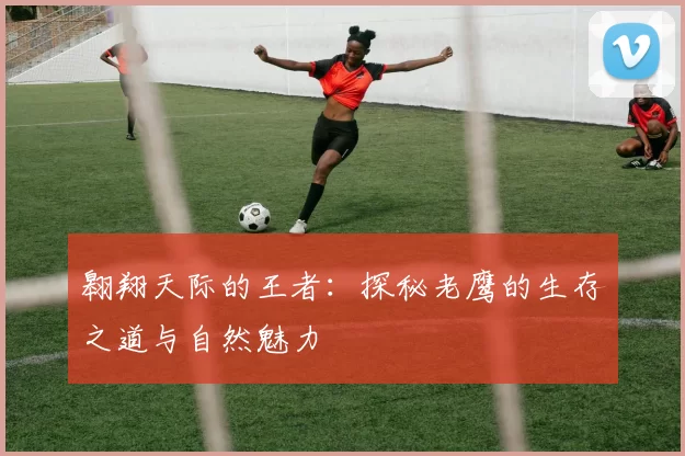 翱翔天际的王者：探秘老鹰的生存之道与自然魅力