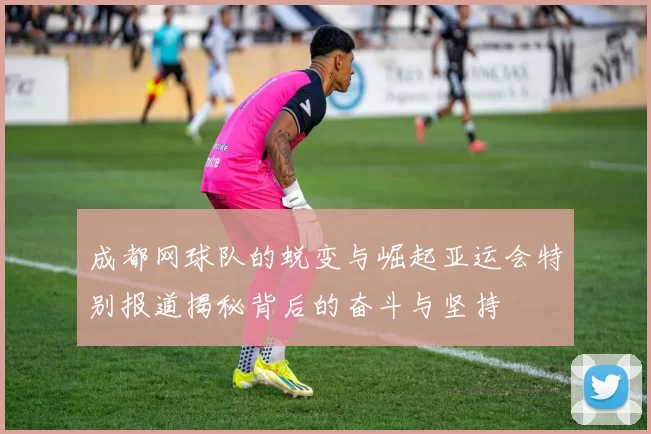 成都网球队的蜕变与崛起亚运会特别报道揭秘背后的奋斗与坚持