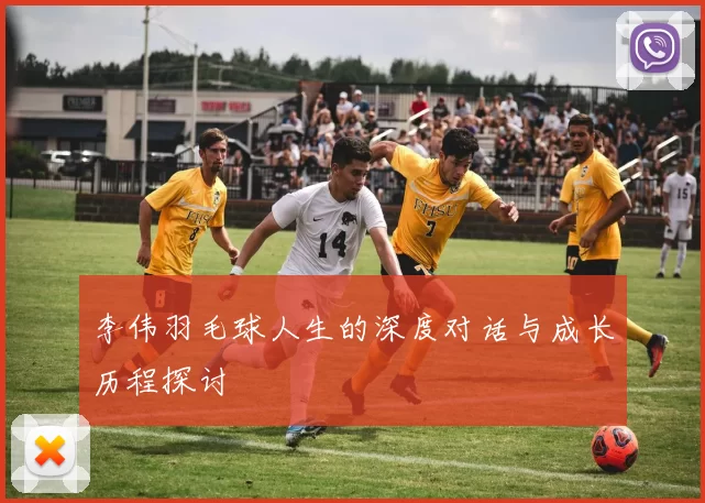 李伟羽毛球人生的深度对话与成长历程探讨