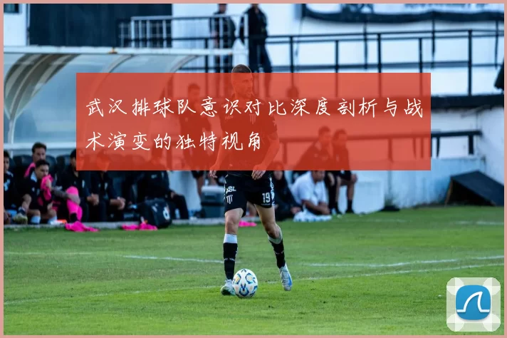 武汉排球队意识对比深度剖析与战术演变的独特视角