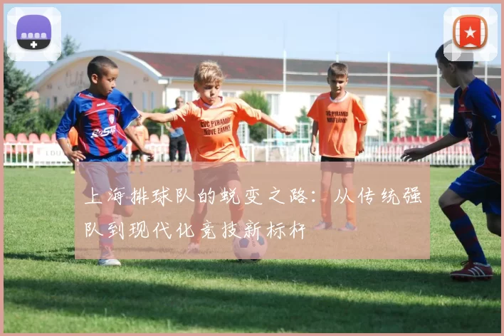 上海排球队的蜕变之路：从传统强队到现代化竞技新标杆