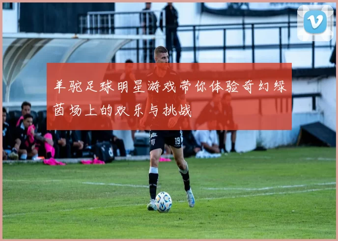 羊驼足球明星游戏带你体验奇幻绿茵场上的欢乐与挑战