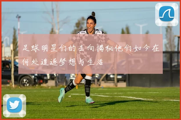 足球明星们的去向揭秘他们如今在何处追逐梦想与生活