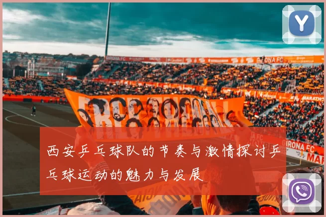 西安乒乓球队的节奏与激情探讨乒乓球运动的魅力与发展