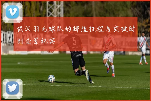 武汉羽毛球队的辉煌征程与突破时刻全景纪实