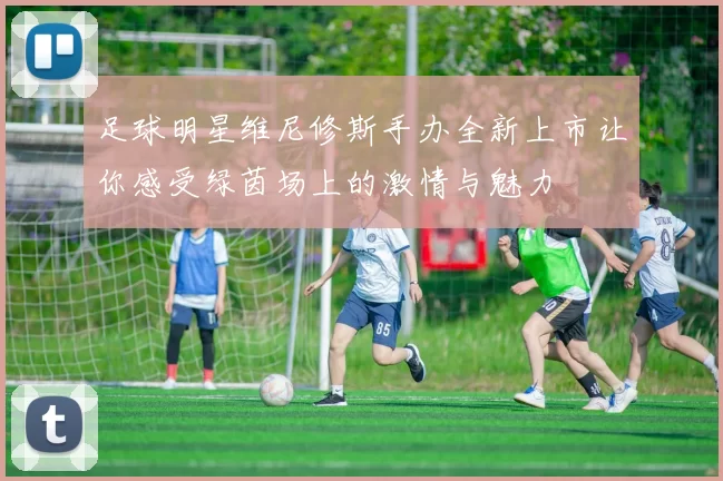 足球明星维尼修斯手办全新上市让你感受绿茵场上的激情与魅力