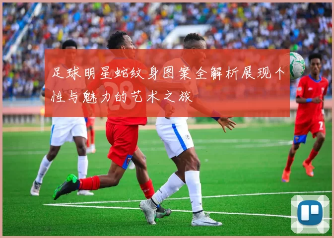 足球明星蛇纹身图案全解析展现个性与魅力的艺术之旅