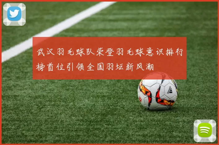 武汉羽毛球队荣登羽毛球意识排行榜首位引领全国羽坛新风潮