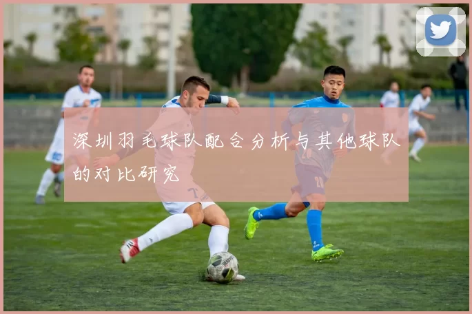 深圳羽毛球队配合分析与其他球队的对比研究