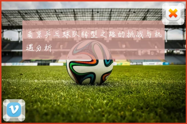 南京乒乓球队转型之路的挑战与机遇分析